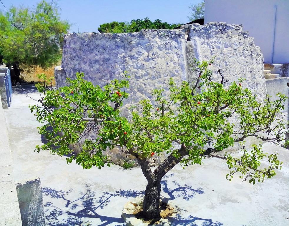 Trullo Don Gabriel Villa อัลลิสเต ห้อง รูปภาพ